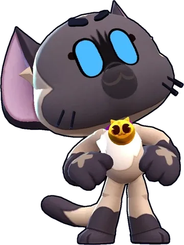 Kit skin Siamese